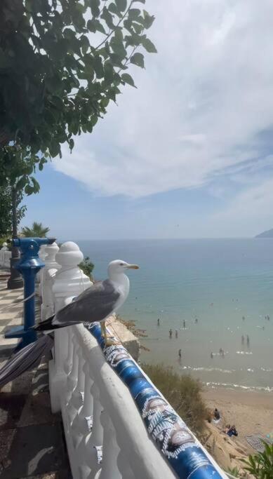 Apartamento Centrico Y En Primera Linea De Playa Apartment Benidorm Ngoại thất bức ảnh