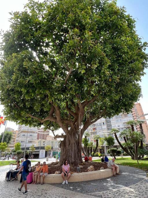 Apartamento Centrico Y En Primera Linea De Playa Apartment Benidorm Ngoại thất bức ảnh